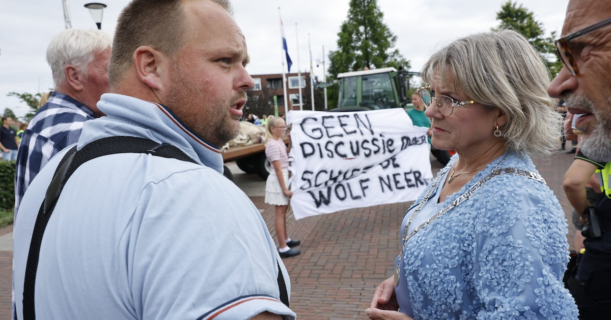 LIVE | Drie demonstraties op één avond in Oldebroek • Boer neemt oplegger met dode schapen mee