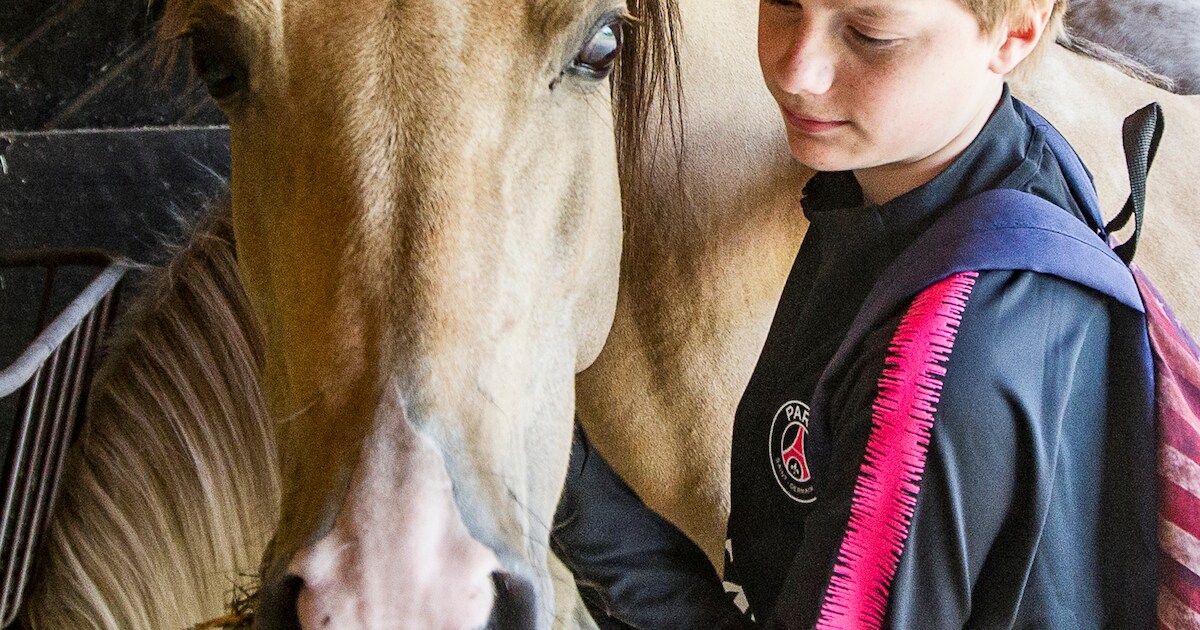 Klas vol autisten moet weg bij zorgboerderij: ‘Ik klap er weer uit’