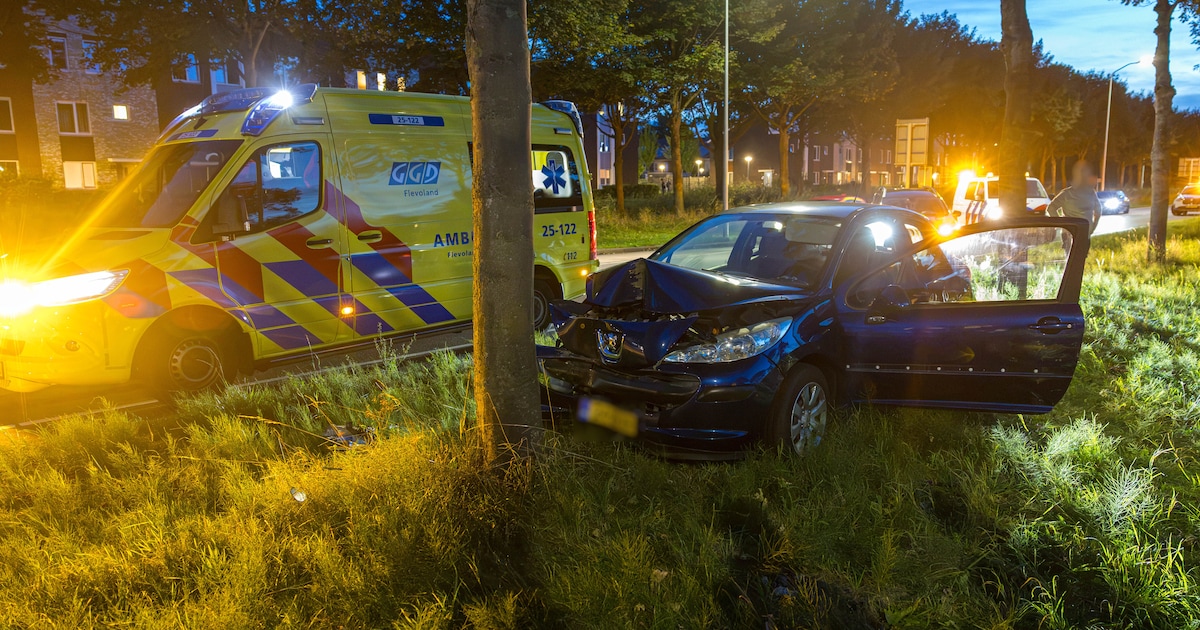 Auto botst tegen boom in Lelystad