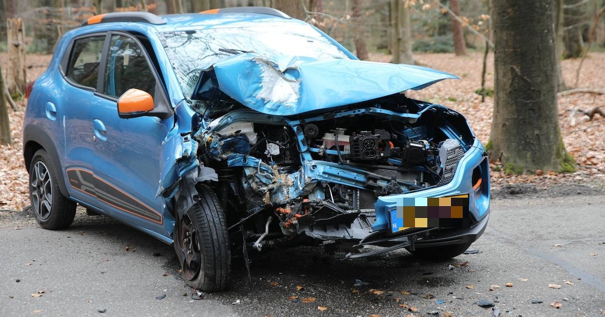 Bestuurder elektrische auto ramt boom in Ermelo