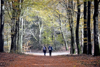 Samen op stap: deze route van Truus is ook genieten voor je viervoeter