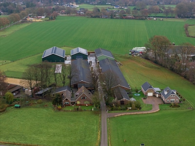 Milieuorganisaties intensiveren strijd tegen eendenboerderijen