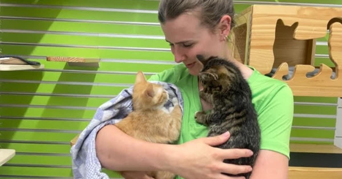 Almelose asiel zoekt met spoed dekentjes en washandjes