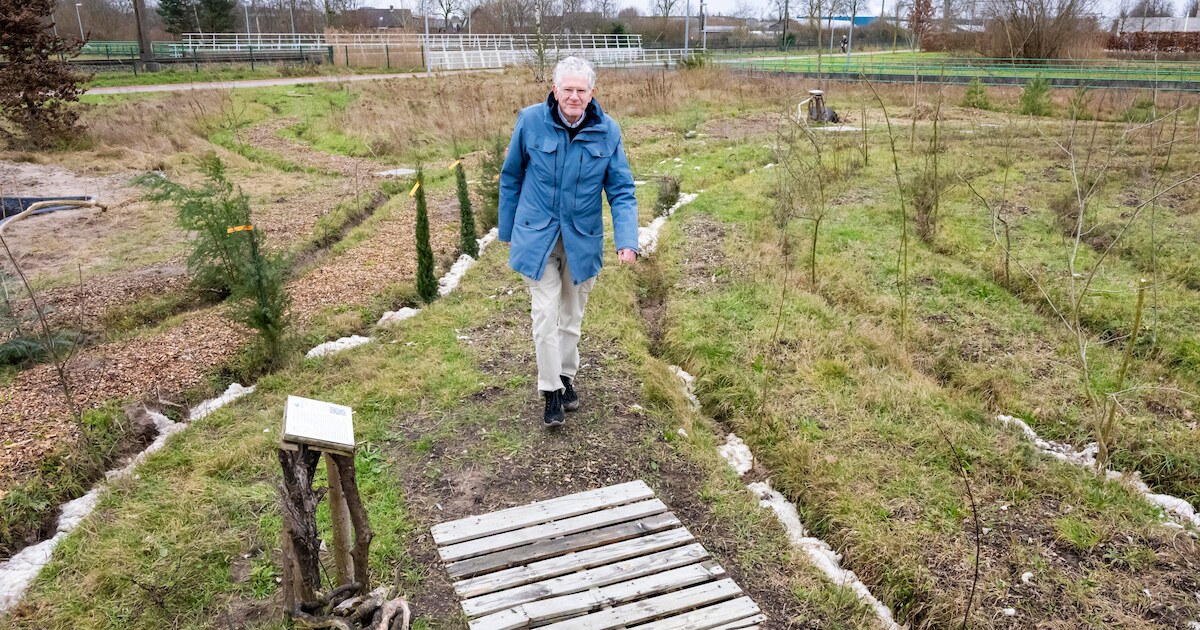 Spiraalbos krijgt steeds meer vorm: ‘Als de bomen volgroeid zijn, loop ...
