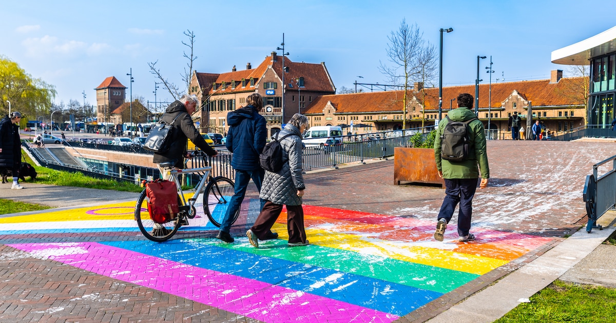 Dit zeggen lezers over toezicht bij regenboogpad in Deventer: ‘Die camera toont aan dat dit niet wer