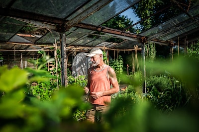 Jos ontwierp interieurs voor rijke mensen, maar toen een klant hem vroeg om appelbomen zónder appels