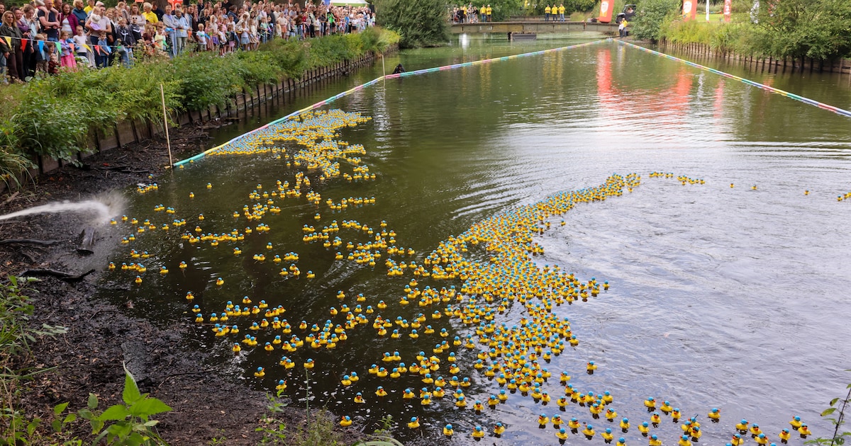 Honderden badeendjes in Barnevelds water: bijzondere race levert ruim 22.000 euro op