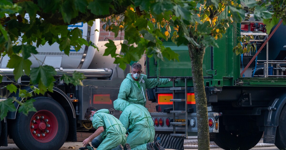 Vogelgriep gaat ineens flink rond: moet je je hobbykippen ook ophokken?