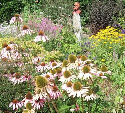 Hattemse beeldentuin viert jubileumjaar met extra activiteiten