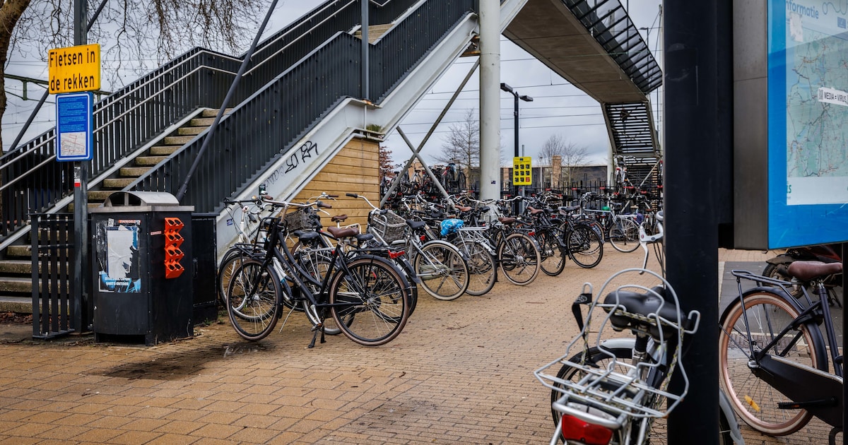 ProRail trekt miljoen uit voor fietsenchaos Steenwijk, maar stelt harde eis: ‘Deal gaat anders niet 