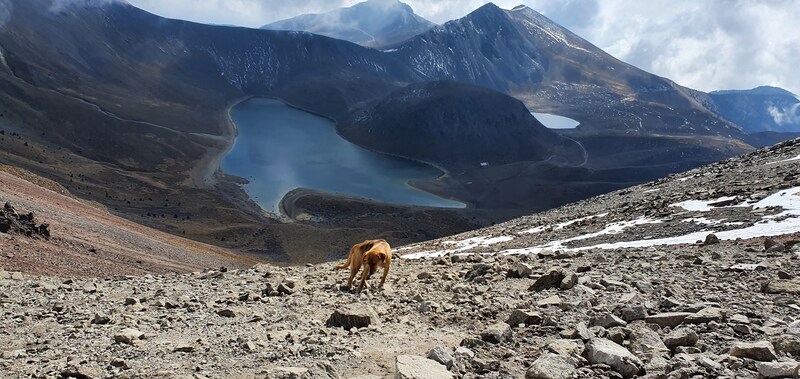 Tijdens de tocht wordt de groep constant gevolgd door deze hond. Nu met uitzicht over de Laguna del Sol.