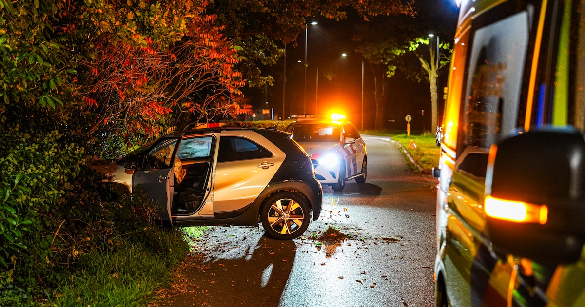 Auto belandt in de bosjes in Emmen