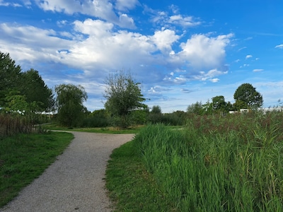 Gemeente ziet hondenlosloopveld het liefst in Terborg