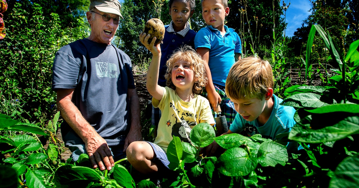 Kinderen leren tuinieren bij De Boomgaard in Rheden