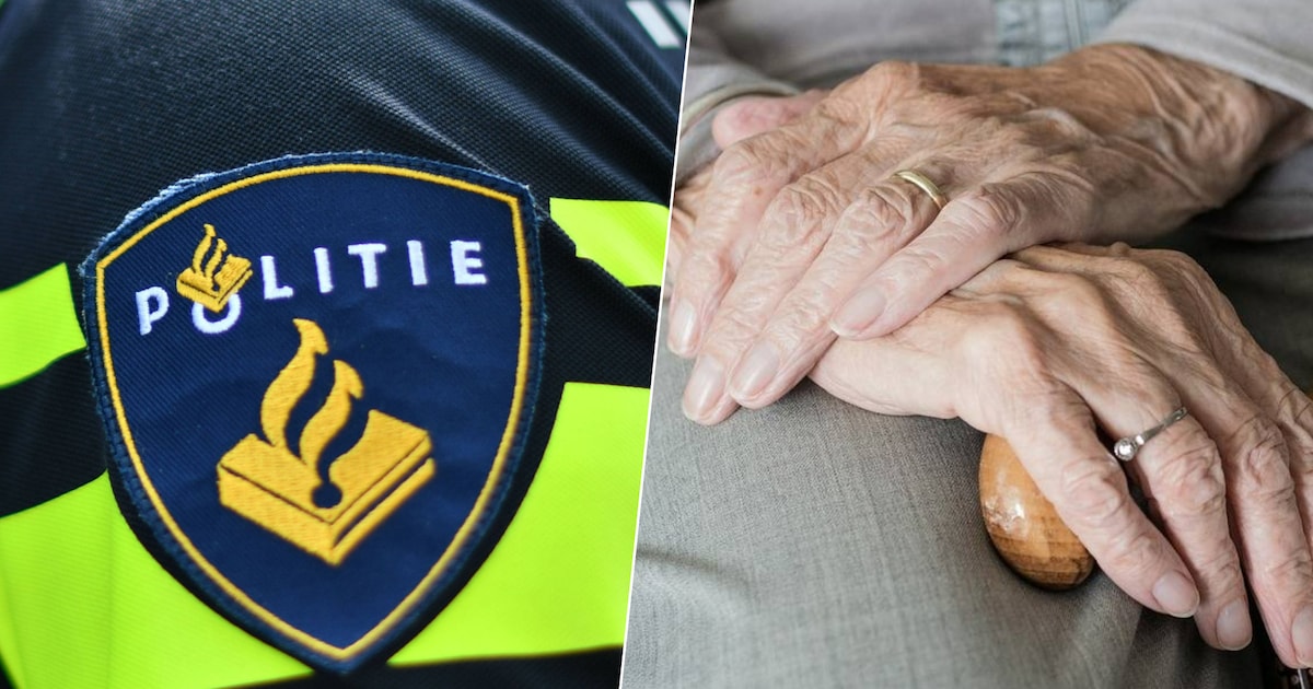 Utrechtse vrouw (22) opgepakt na babbeltrucs: ruim 250.000 euro buitgemaakt