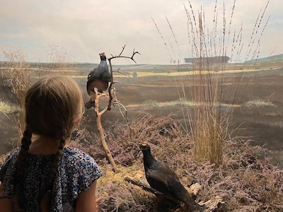 Hoolter Museumdag dit jaar in het teken van het boerenleven, zeven locaties openen deuren
