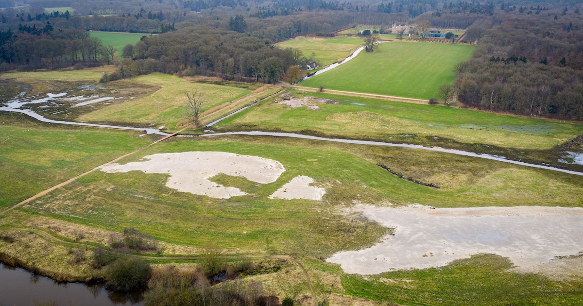 Natuurmonumenten trekt naar de rechter om verdroging te stoppen, maar vangt bot