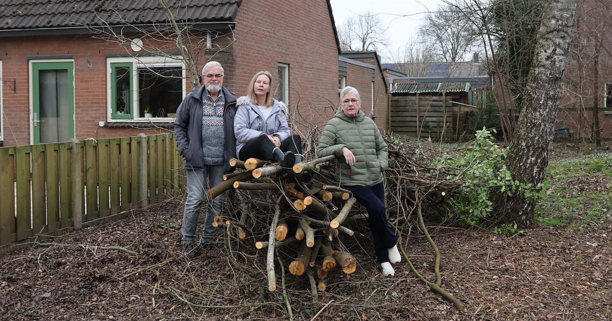 Als Ellen ziet wat er is weggesnoeid bij haar woning, is ze furieus: ‘Mijn huis is nu een kijkdoos!’