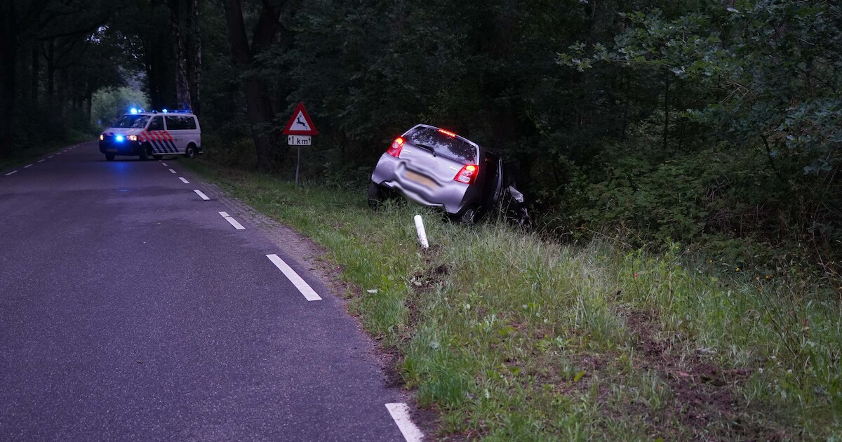 Auto tegen boom in Dalmsholte: één gewonde
