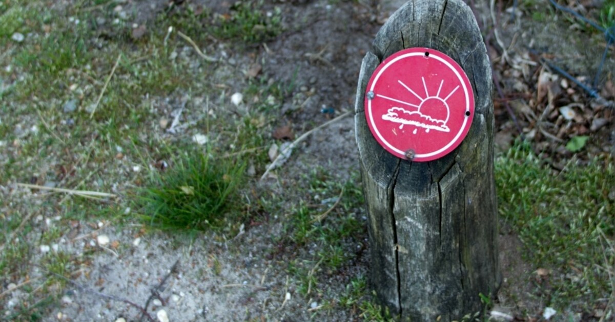 Mijmerend van bank naar bank | Apeldoorn