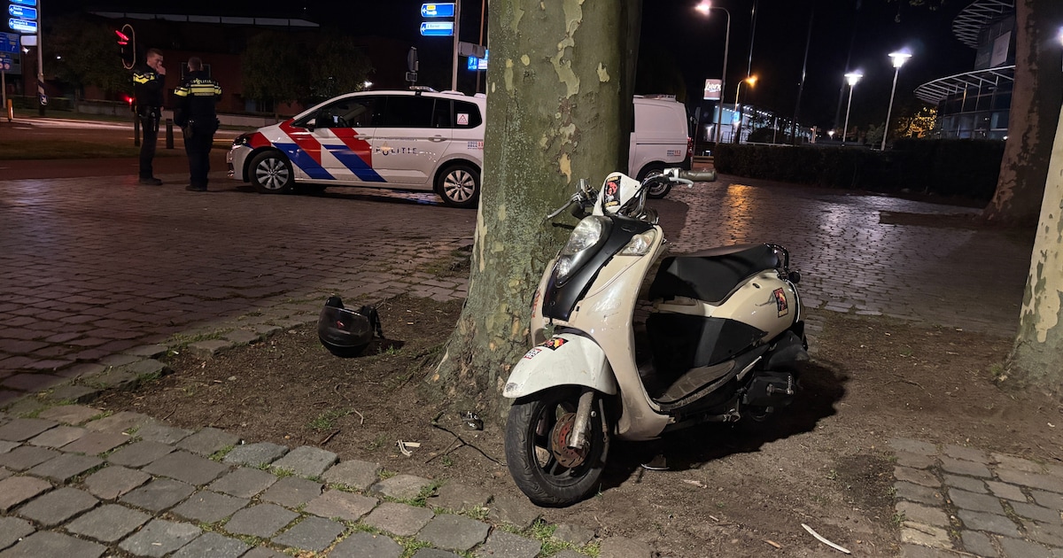 Scooterrijder knalt tegen boom en vlucht weg nadat agenten hem aan willen spreken in Deventer