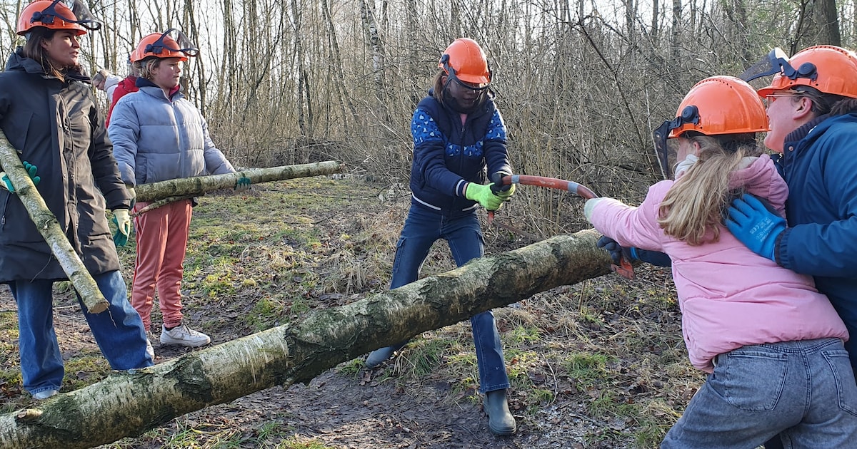 Landschapsbeheer zoekt meer scholen in Zeewolde voor praktijkdagen natuurbeheer