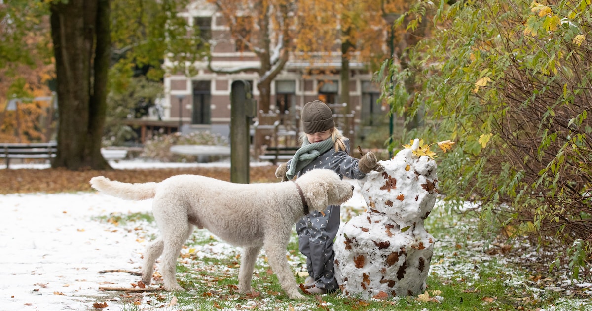 Klein sneeuwdek zorgt voor winters plezier, sneeuwpop in Baarn versierd met herfstblaadjes