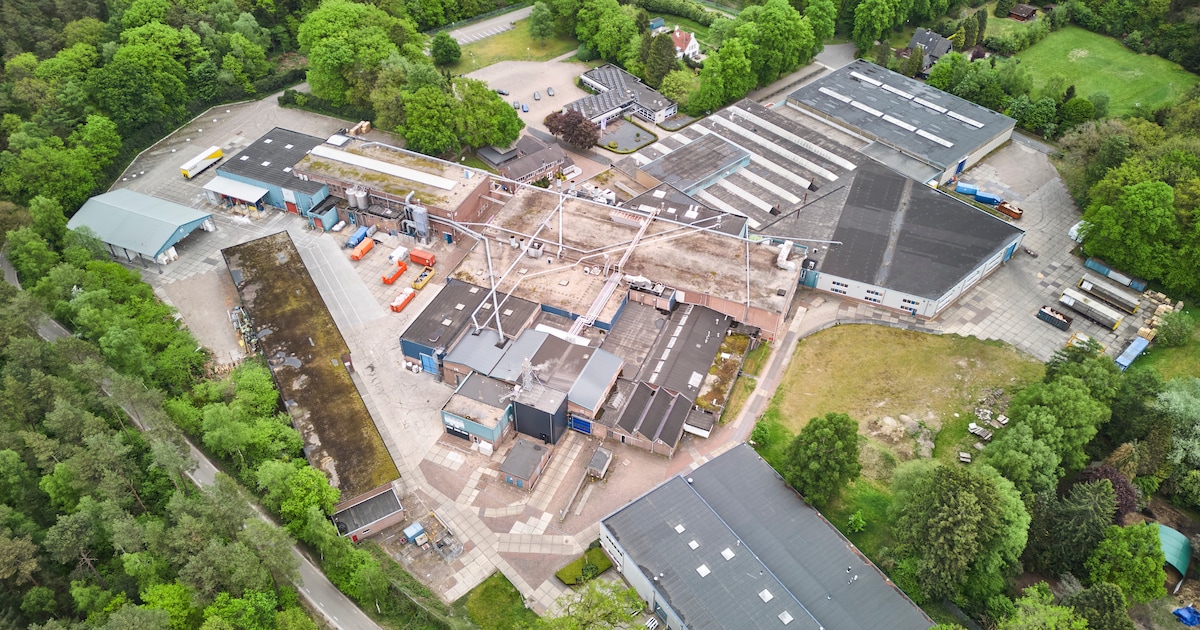 Meer dan tien geïnteresseerden voor failliete papierfabriek in Eerbeek