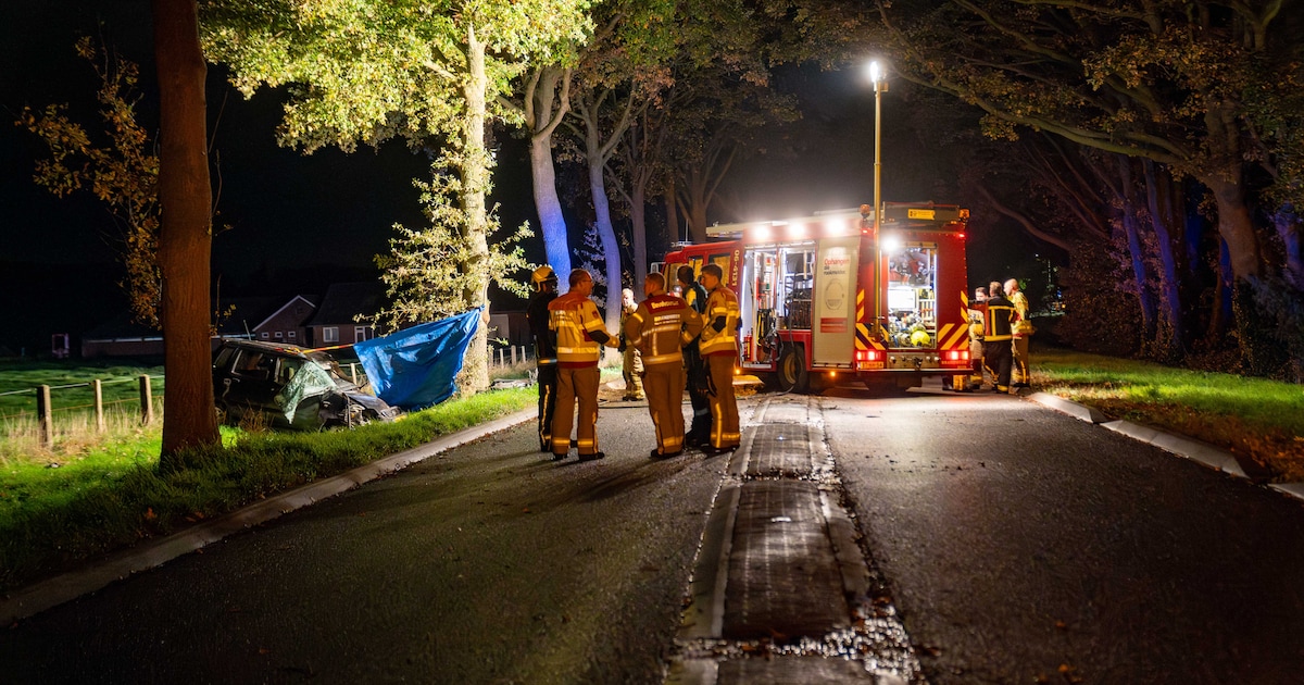Automobilist overleden bij ongeluk op N348 bij Gorssel.