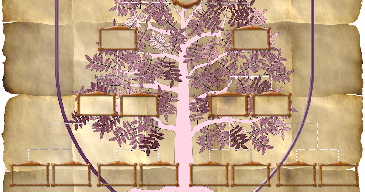 Onderzoekers helpen mensen in Swifterbant op weg met speurtocht naar stamboom