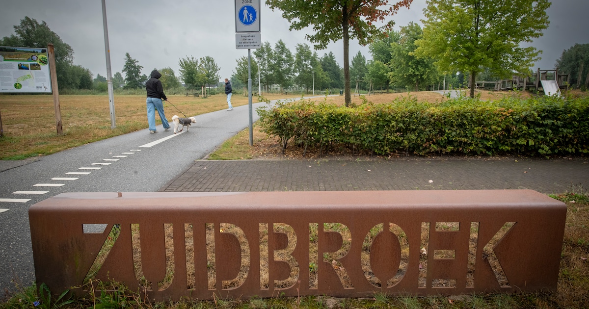 Onrust in Apeldoorns park na zedenincident: zo wordt het volgens experts veiliger