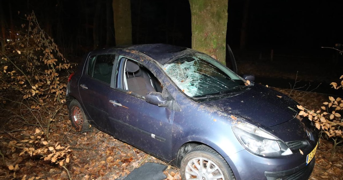 Dak van auto flink beschadigd na eenzijdig ongeval op de Soerelseweg in Epe