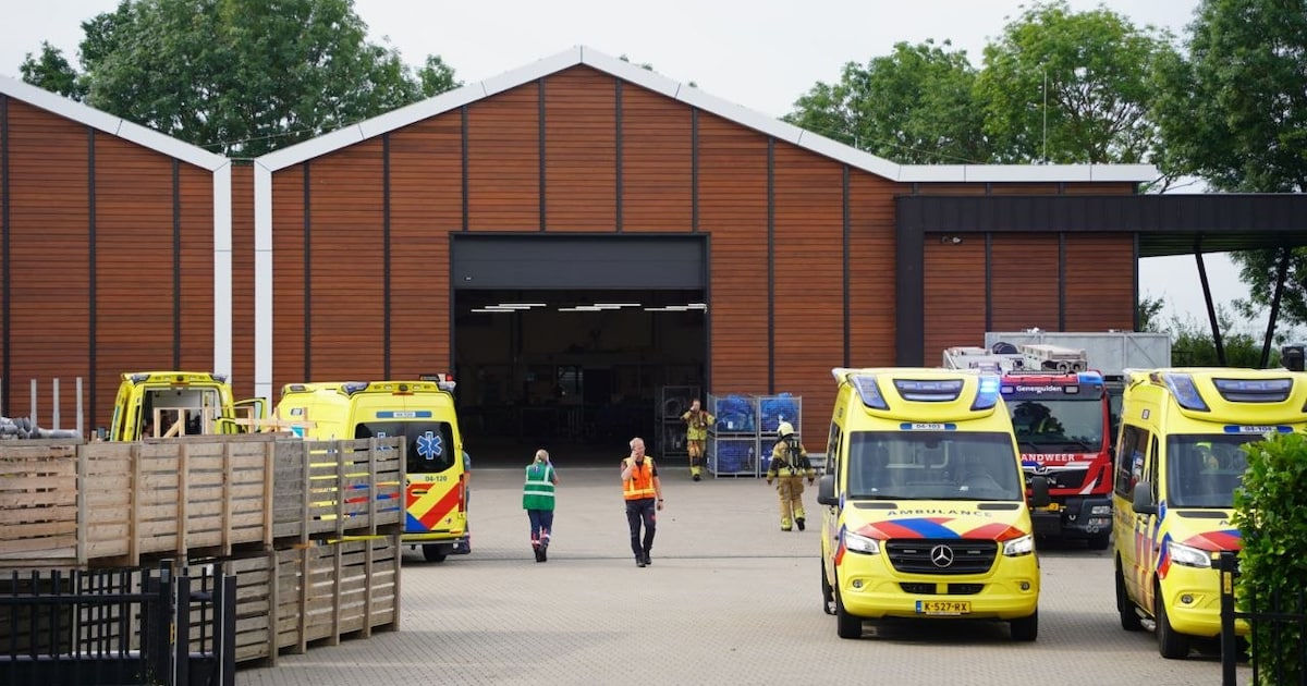 Veel hulpdiensten naar Genemuiden vanwege ongeval met gevaarlijke stof