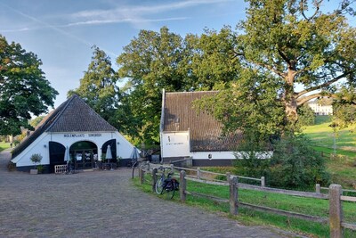 Pubquiz, Juni Modemaand en meer: dit er in Arnhem te doen in de week van 16-20 juni