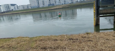 Stinkende smurrie in de IJssel bij Zutphen: ‘Opruimen is geen optie’