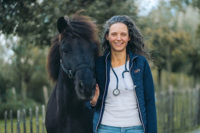 Westnijlvirus treft ook steeds meer paarden: dierenarts waarschuwt voor ernstige gevolgen