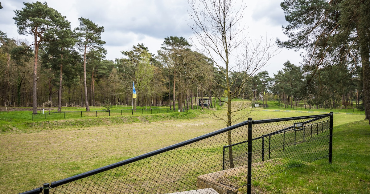 Hekken, vlaggen, gemaaid gras, verstoorde vogels: buurman heeft lijst met klachten voor motorcrosser