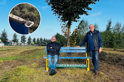 Deze 40 jaar oude 'carnavalsbank' heeft een nieuwe plek in Zwolle: 'Met verborgen flesopener'