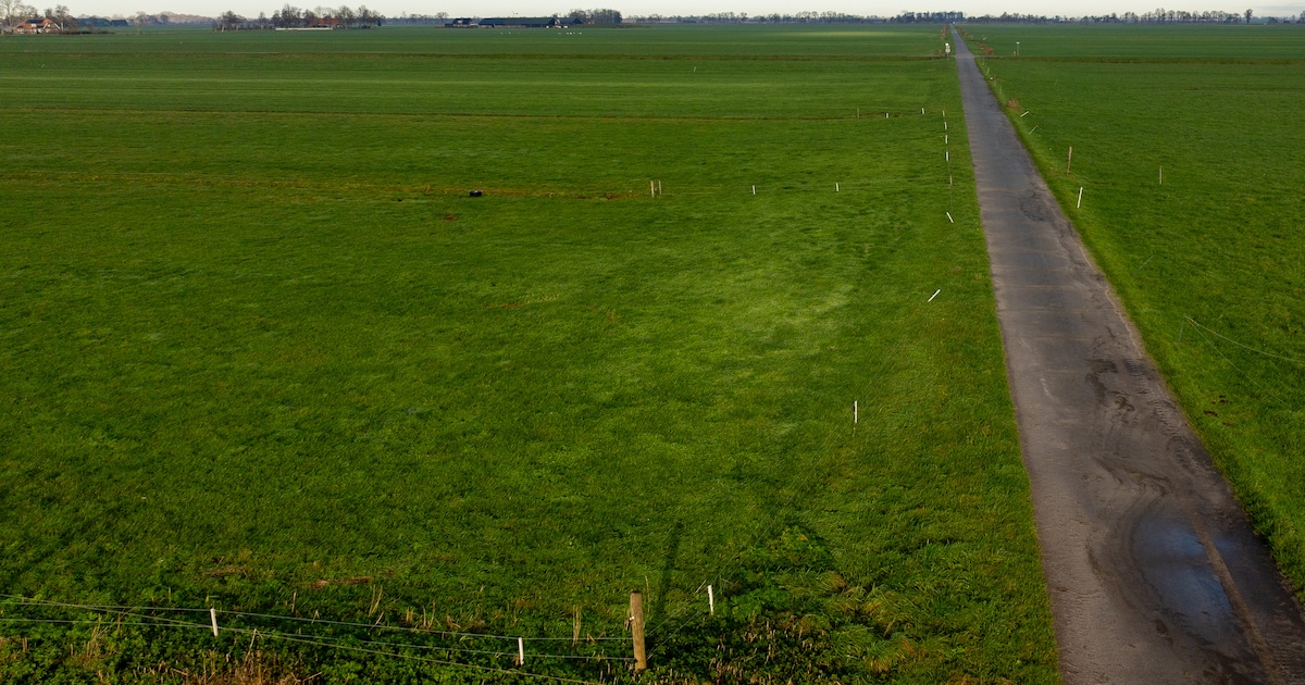 Boer dempt sloot zonder vergunning en verliest zijn jachtakte: de rechter zegt dit over het landscha