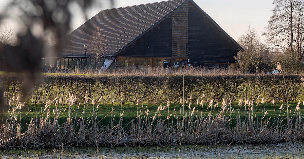 Foto-expositie met de mooiste bomen van Salland te zien in Den Nul