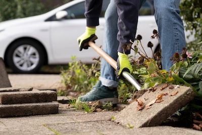 33.000 tegels gewipt in gemeente Hardenberg om buurten groener te maken