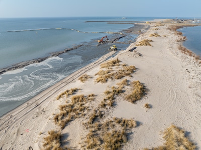 Excursie naar Marker Wadden over de balans tussen water en natuur