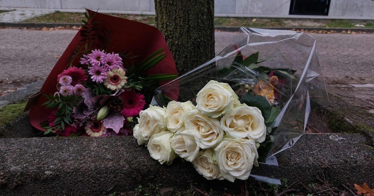 Derde verdachte (27) aangehouden voor dodelijke schietpartij Flying Dutchmanstraat