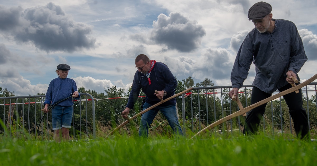 Vergeet de robotmaaier: op dit veld in Elspeet strijden 21 teams met een zeis