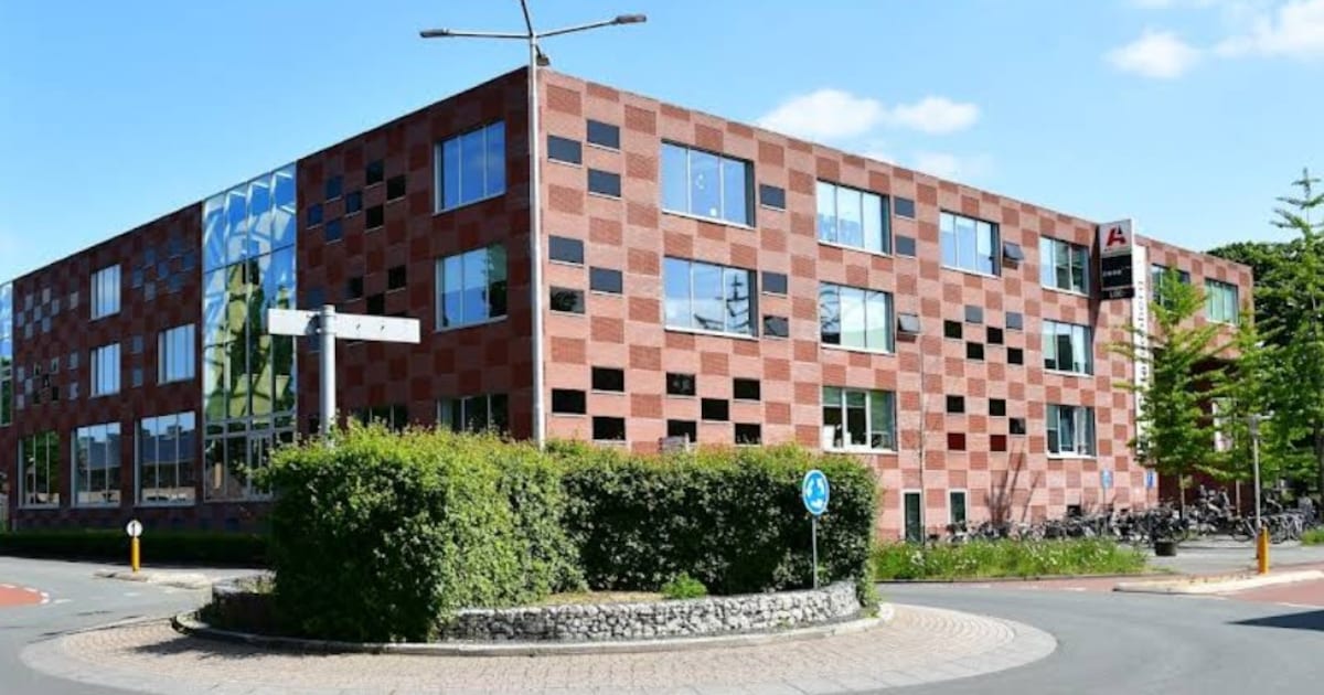 Tientallen kunstenaars nemen deel aan kunstmarkt in Hardenberg
