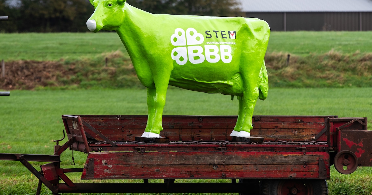 BBB-bastion Bathmen is een dorp tussen trots en twijfel: ‘Er wordt puur op emotie gespeeld’