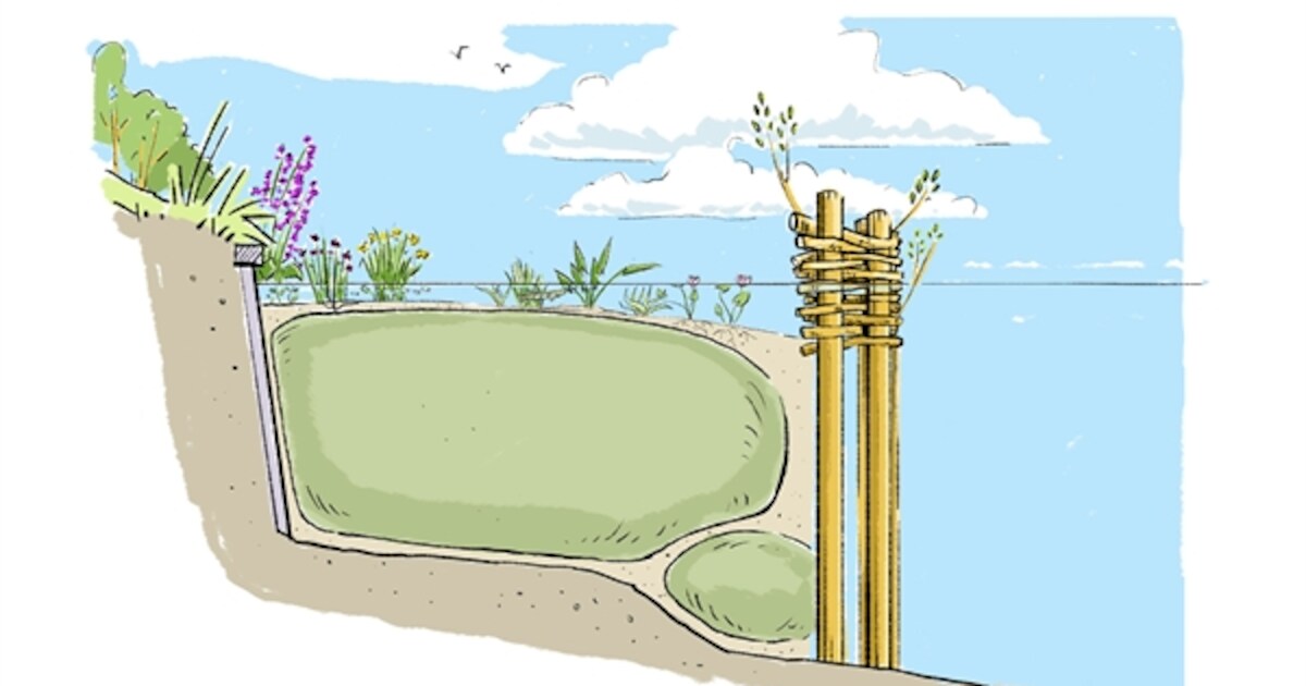 Natuurvriendelijke oever voor kanaal bij Gramsbergen | Vechtdal | De ...
