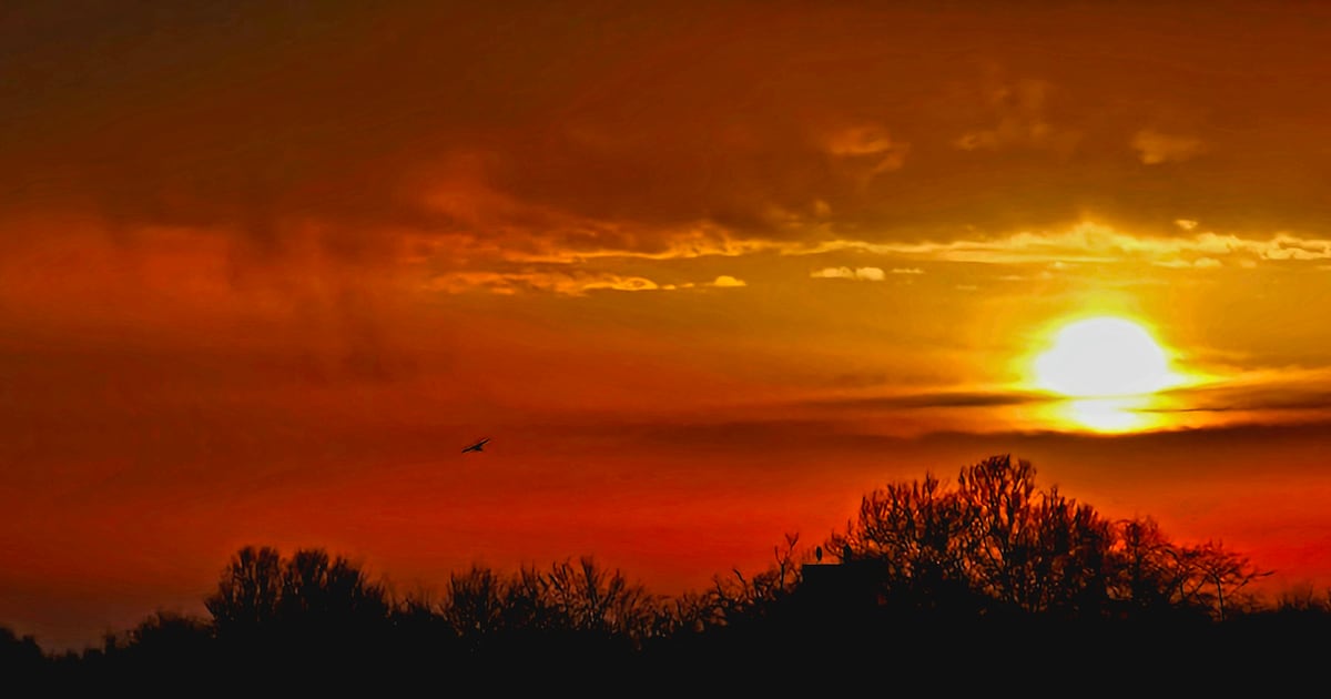 Dit stuurden jullie in: Austin ziet bijzondere zonsopkomst • OODZ in voormalig smederij Zwolle