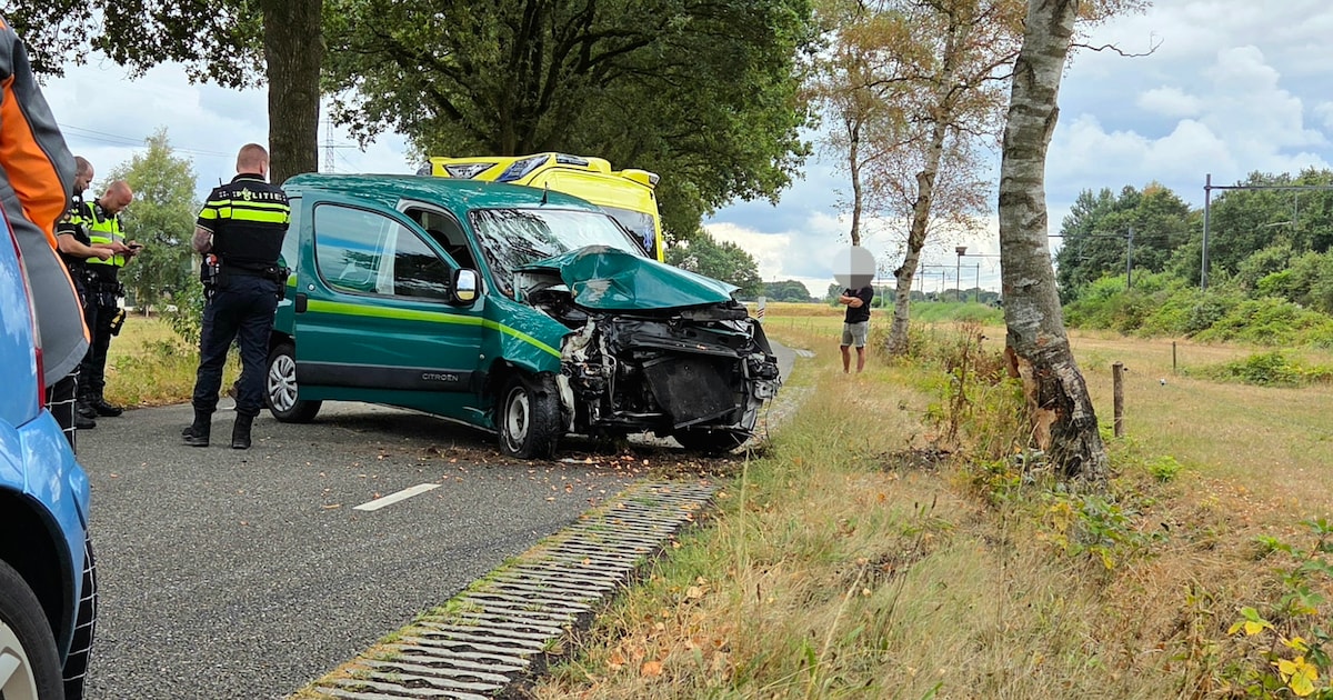 Bestelbus botst tegen boom bij eenzijdig ongeval in Stuifzand