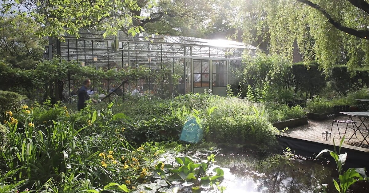 Dit zijn de beste 10 restaurants van Oost-Nederland